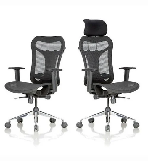 Ergonomic Leo Chair